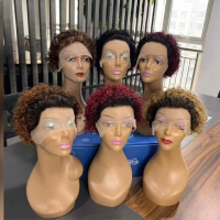 Pixie Wig